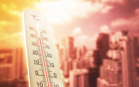 Caldo record anticipa la vendemmia nel pistoiese