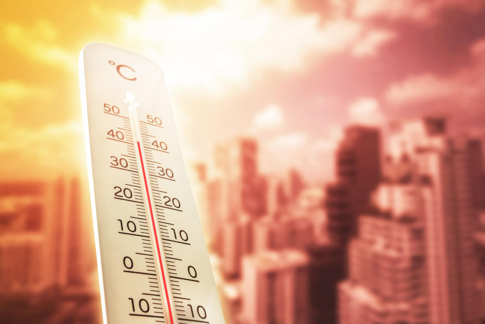 Caldo record anticipa la vendemmia nel pistoiese