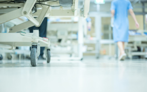 Peste suina, i cacciatori chiedono sostegni e materiali