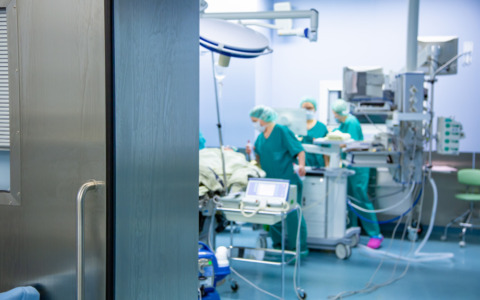 Emergenza peste suina: FdI e veterinari criticano la Regione Toscana