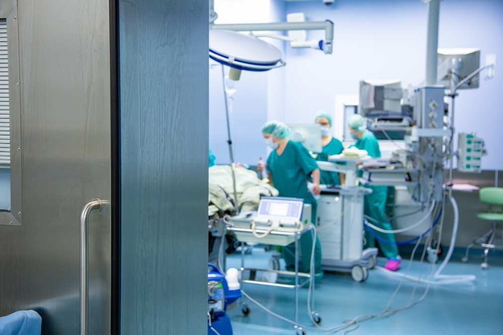 Emergenza peste suina: FdI e veterinari criticano la Regione Toscana