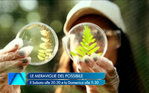 Le Meraviglie del Possibile porta le scoperte del CNR su ALMA TV